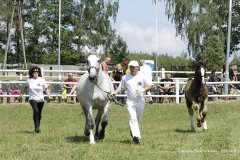 lubuskie-swieto-konia-2019-RG-H31-0073