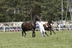 lubuskie-swieto-konia-2019-RG-H31-0295
