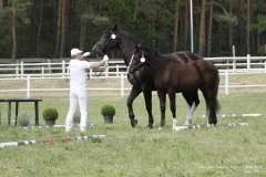 lubuskie-swieto-konia-2019-RG-H31-0388