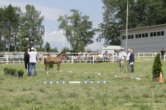 lubuskie-swieto-konia-2019-RG-H31-0422
