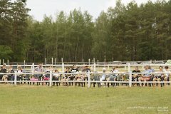 lubuskie-swieto-konia-2019-RG-H31-0722