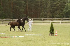 lubuskie-swieto-konia-2019-RG-H31-0770