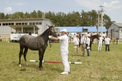 lubuskie-swieto-konia-2019-RG-H31-0898